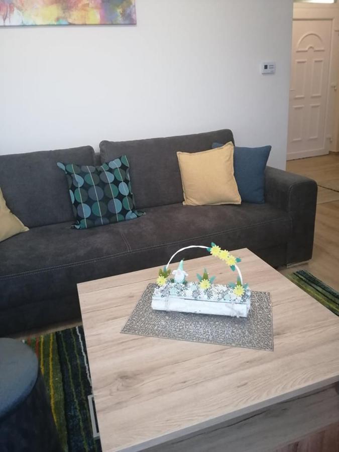 Boglarka Apartman Szeged Bagian luar foto